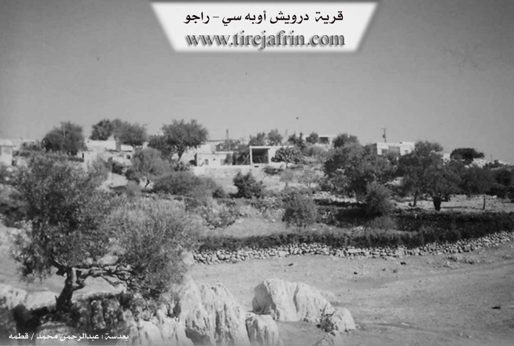 Photo of Dêwrîş